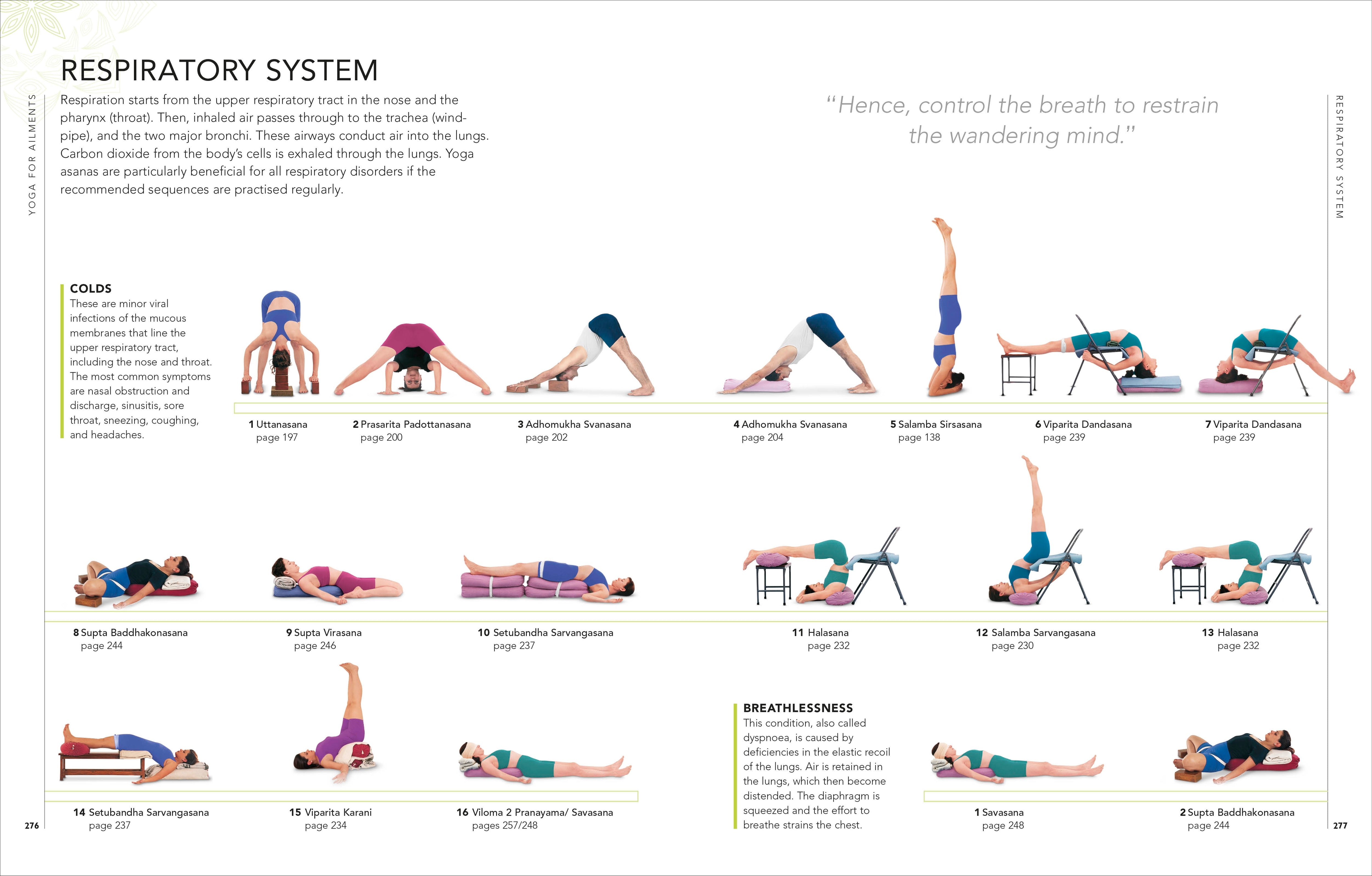 B.K.S. Iyengar Yoga The Path to Holistic Health – DK
