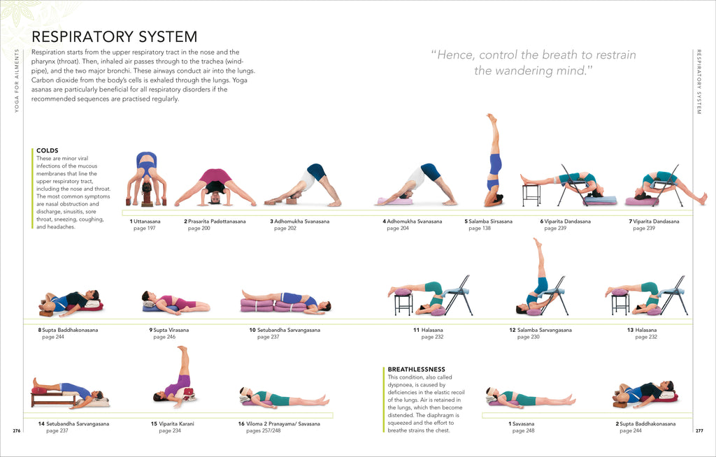 B.K.S. Iyengar Yoga The Path to Holistic Health