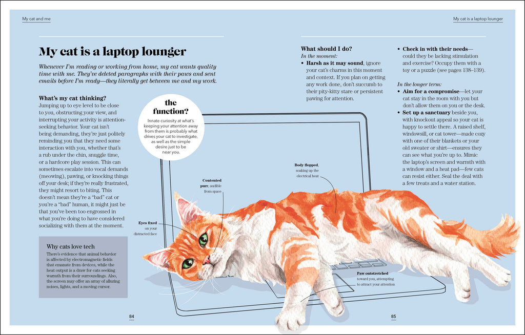 What's My Cat Thinking?