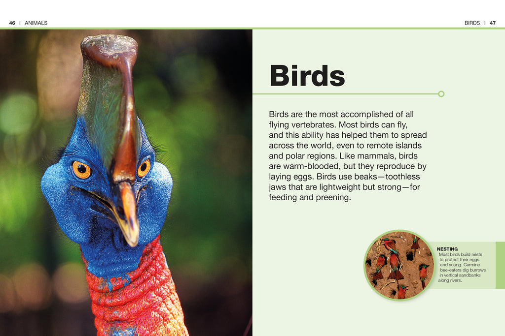 Pocket Genius: Animals