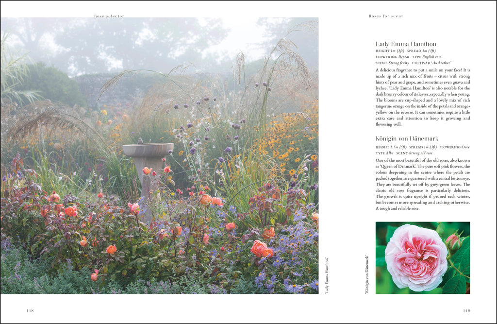RHS Roses-spread image