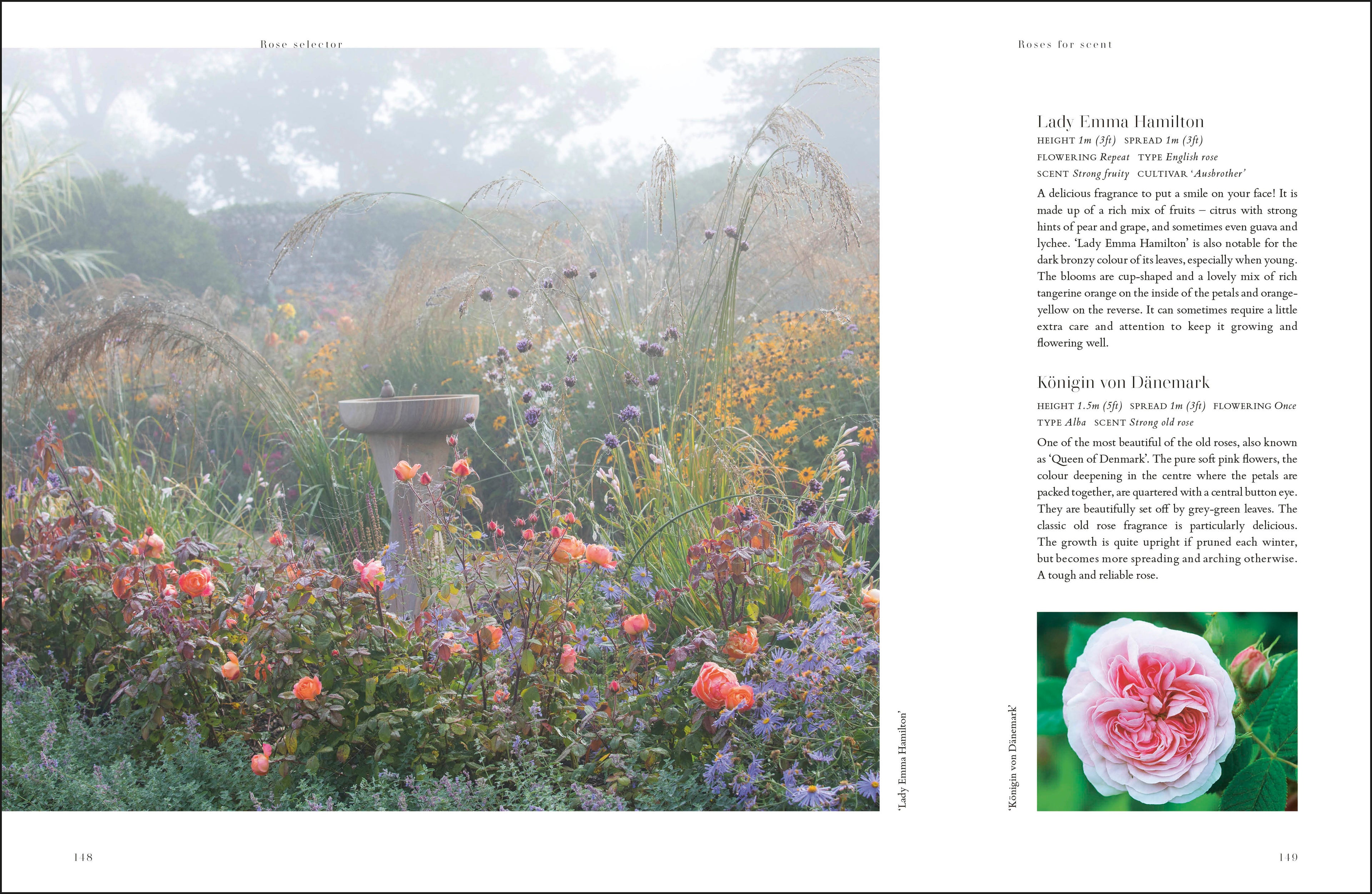 RHS Roses-spread image
