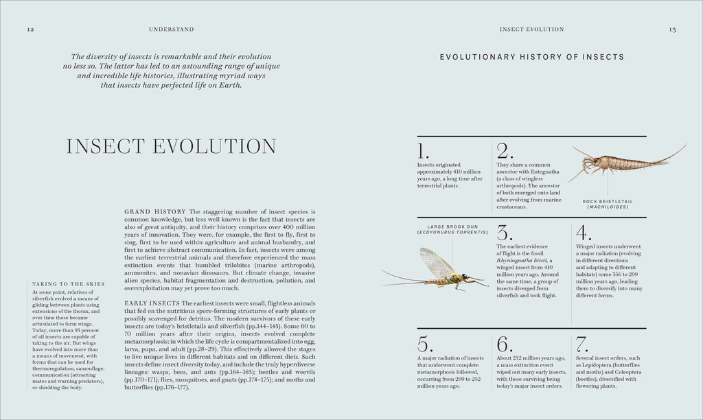 Insects-Spread, Image, (PRHC, Design, Do, Not, Use)-2