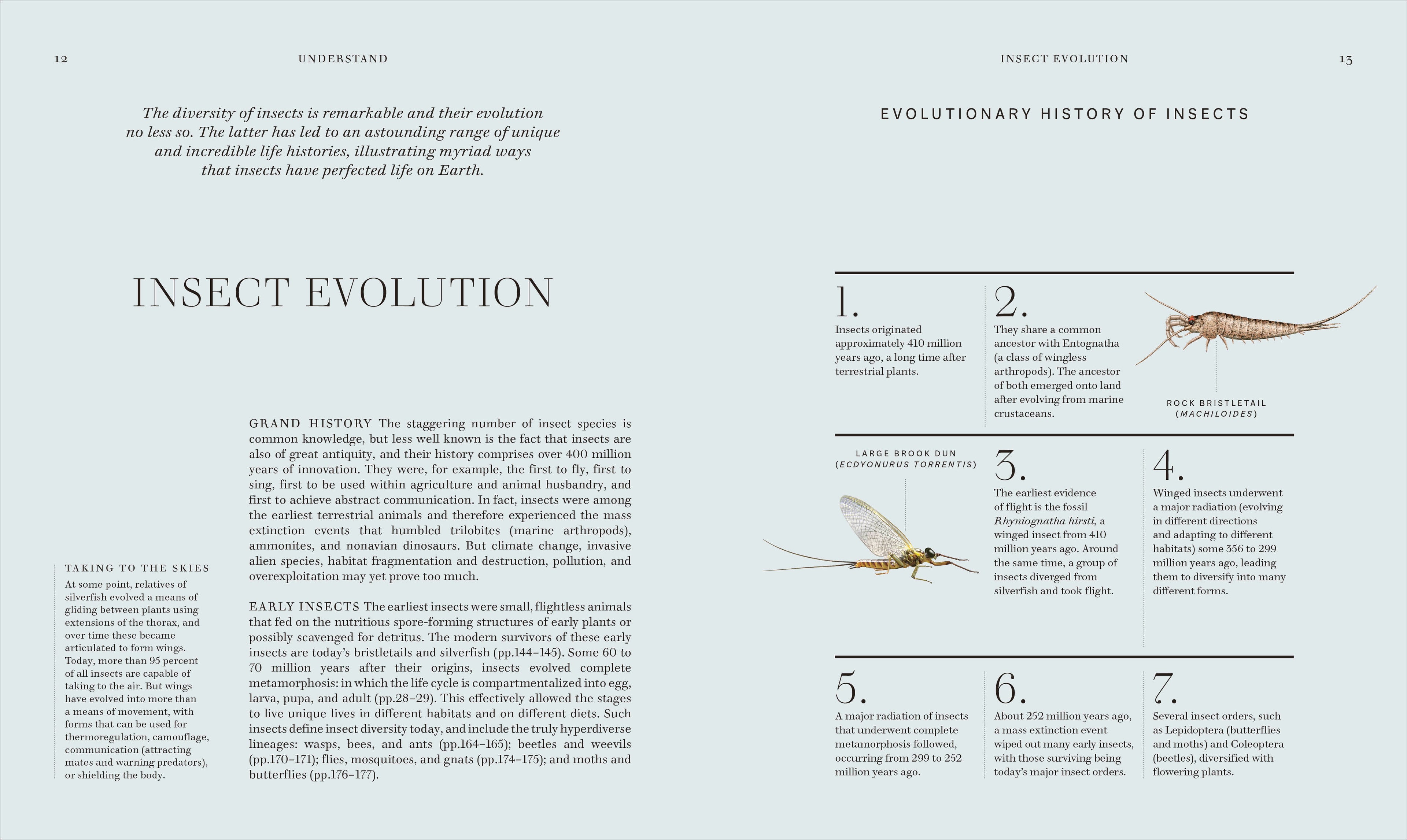 Insects-Spread, Image, (PRHC, Design, Do, Not, Use)-2