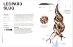 RHS Slugs: Friend or Foe?-Spread, Image, (PRHC, Design, Do, Not, Use)-5
