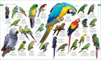 El libro de la naturaleza (Natural History)-Spread, Image, (PRHC, Design, Do, Not, Use)-4