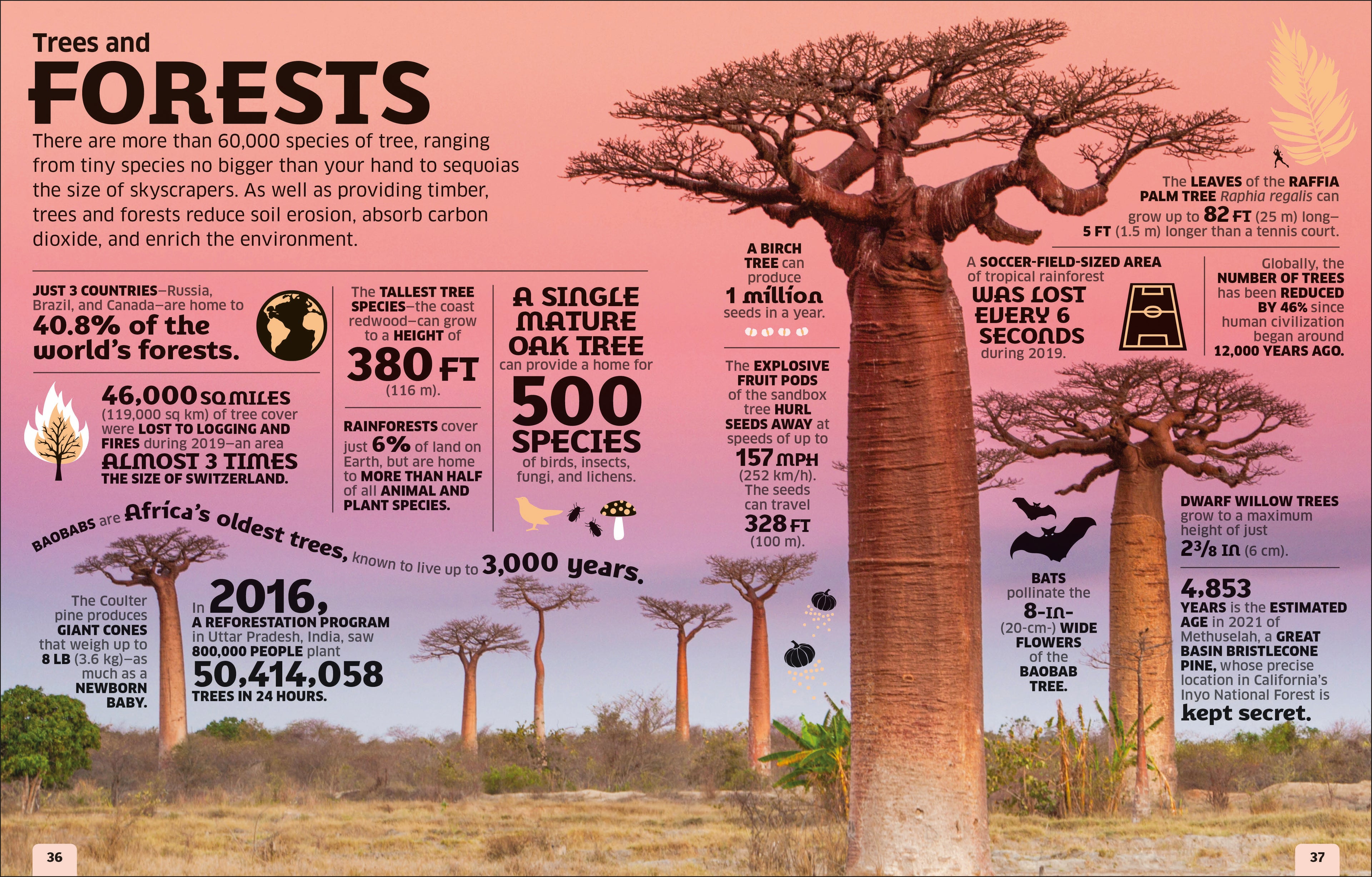 Our World in Numbers-Spread, Image, (PRHC, Design, Do, Not, Use)-3