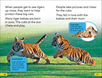 DK Super Readers Level 2 Save the Tigers
