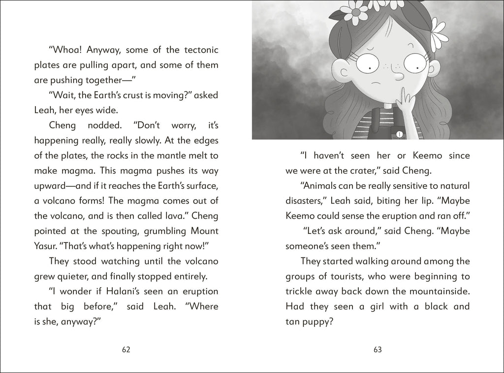 The Secret Explorers and the Smoking Volcano