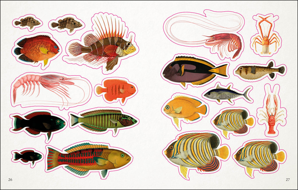 The Seashore Sticker Anthology-Spread, Image, (PRHC, Design, Do, Not, Use)-2
