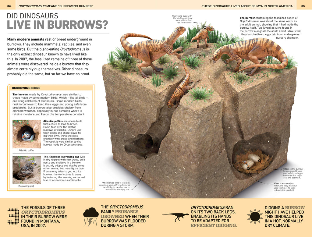 1,000 Amazing Dinosaur Facts