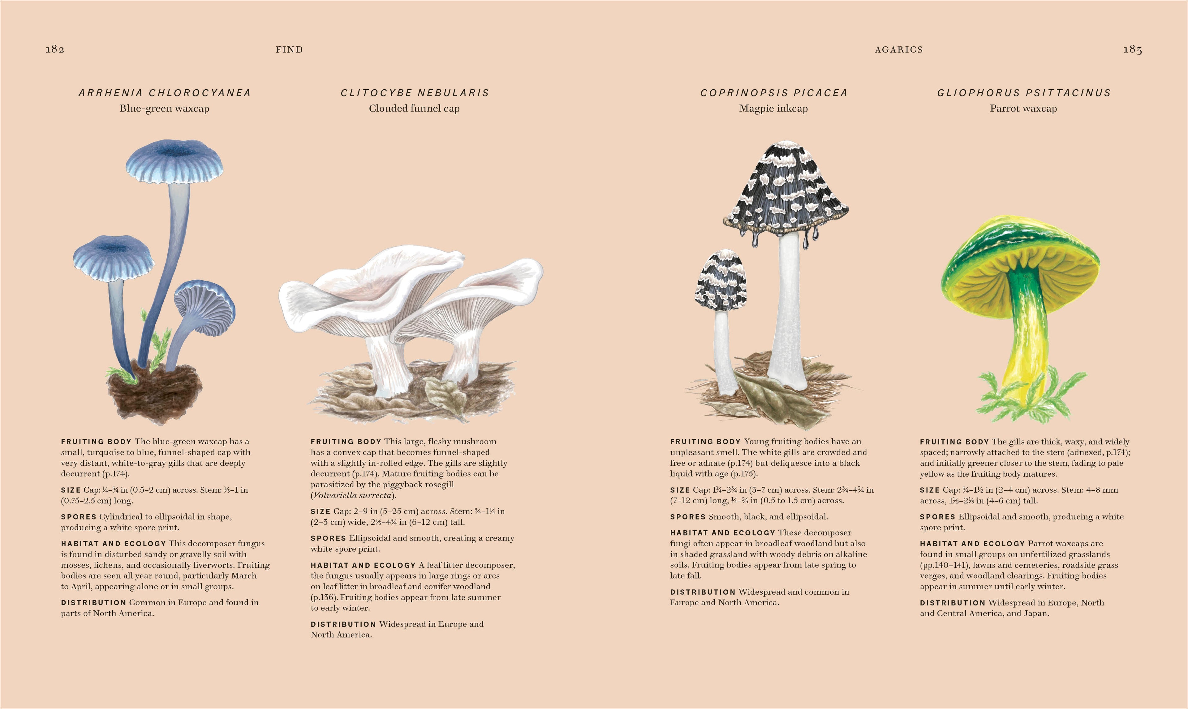 Fungi-Spread, Image, (PRHC, Design, Do, Not, Use)-5