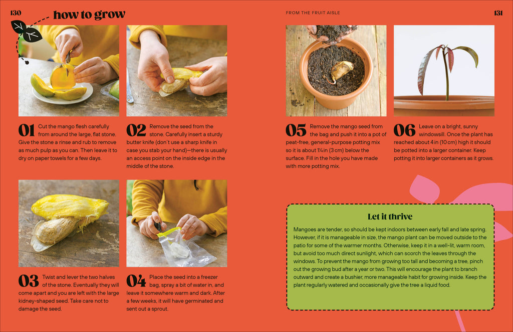 Grow Your Groceries-Spread, Image, (PRHC, Design, Do, Not, Use)-6