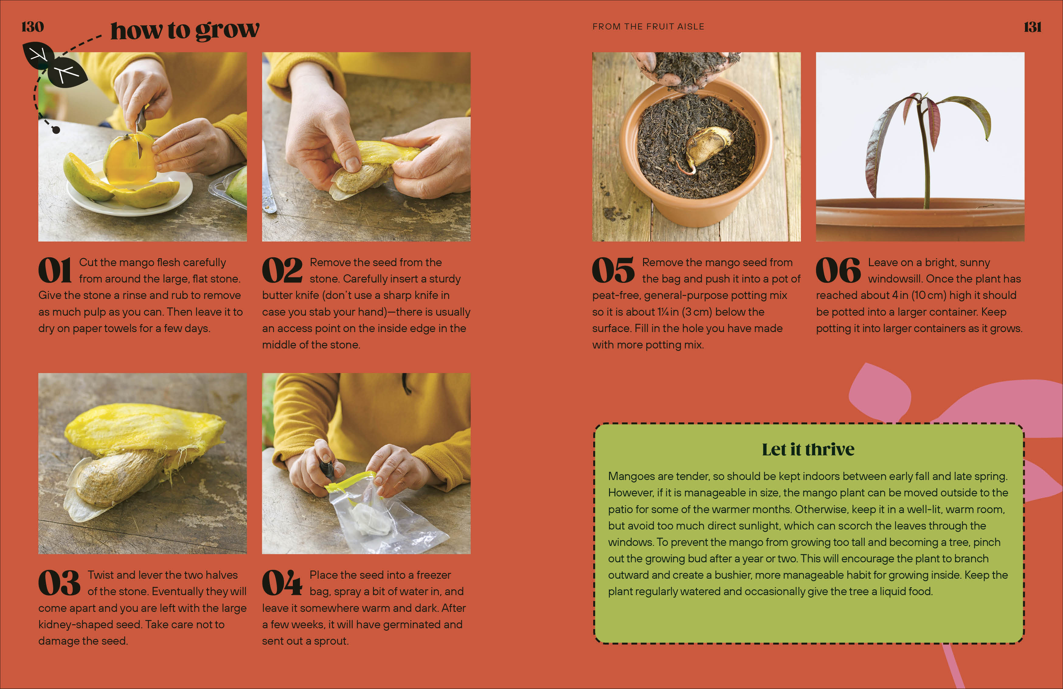 Grow Your Groceries-Spread, Image, (PRHC, Design, Do, Not, Use)-6