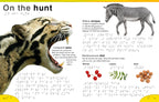 DK Braille: Animals