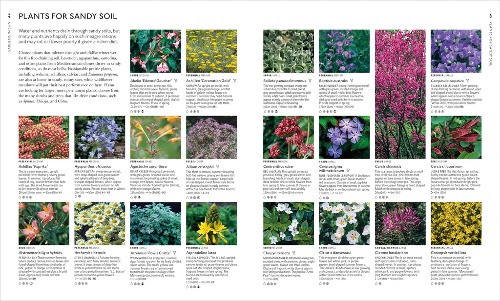 RHS What Plant Where Encyclopedia-Spread, Image, (PRHC, Design, Do, Not, Use)-4
