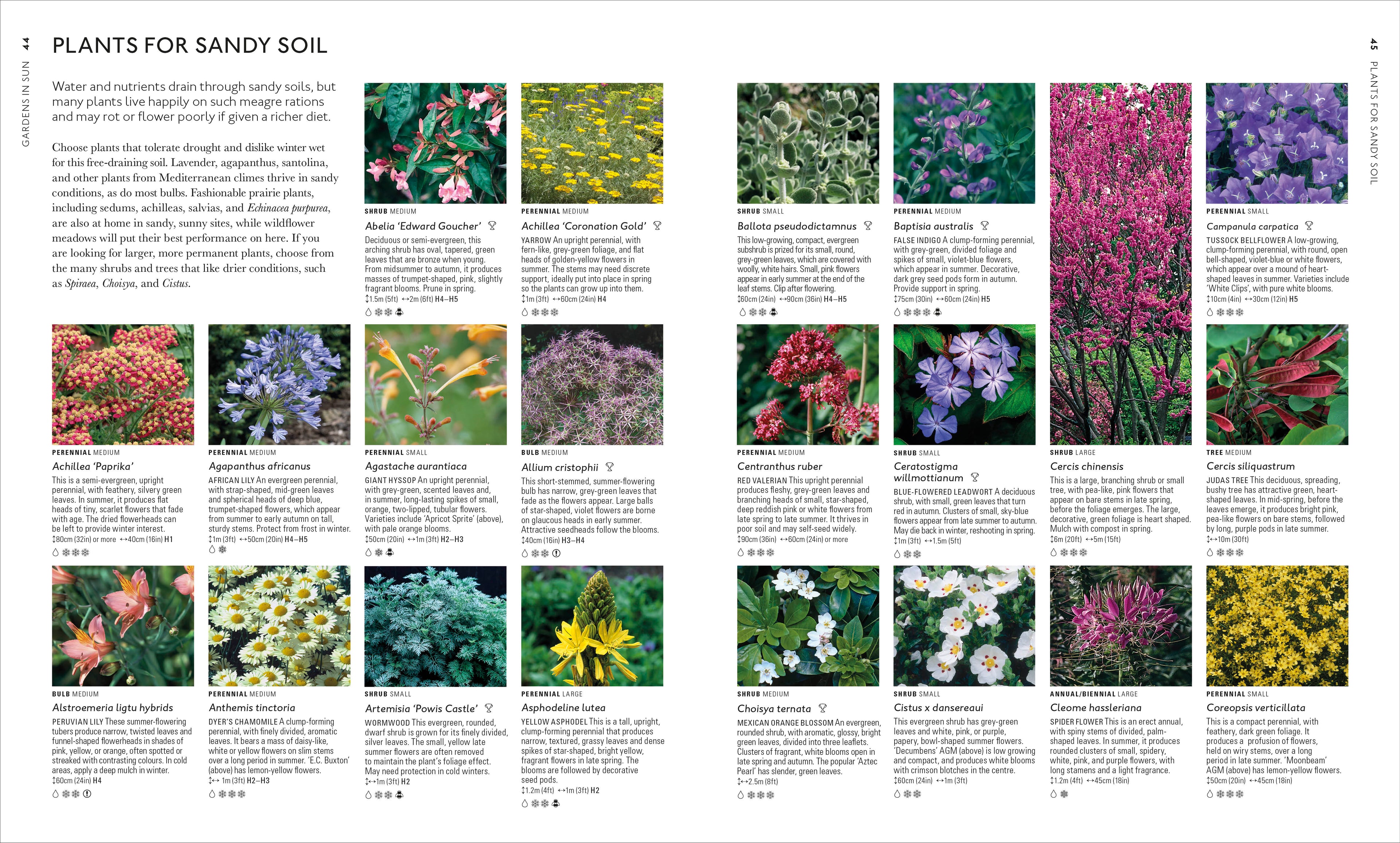 RHS What Plant Where Encyclopedia-Spread, Image, (PRHC, Design, Do, Not, Use)-4
