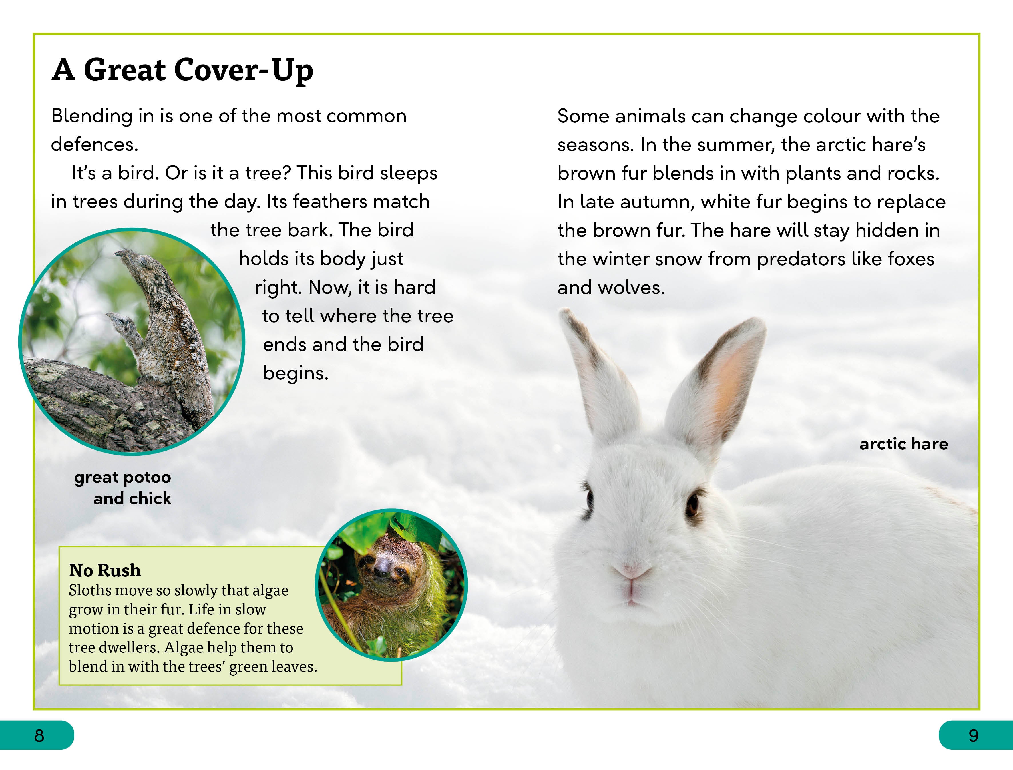 DK Super Readers Level 3 Animal Defences