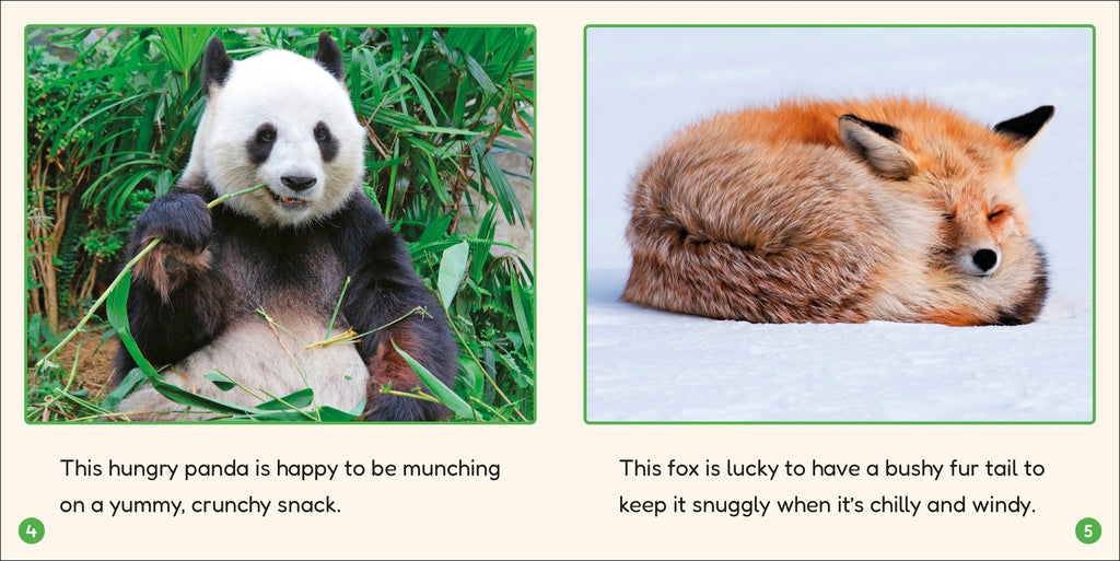 Phonic Books Lift Off Readers Ending Spelling Patterns-Spread, Image, (PRHC, Design, Do, Not, Use)-4