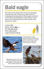 Our World in Pictures Animals of the World Flash Cards-Spread, Image, (PRHC, Design, Do, Not, Use)-9