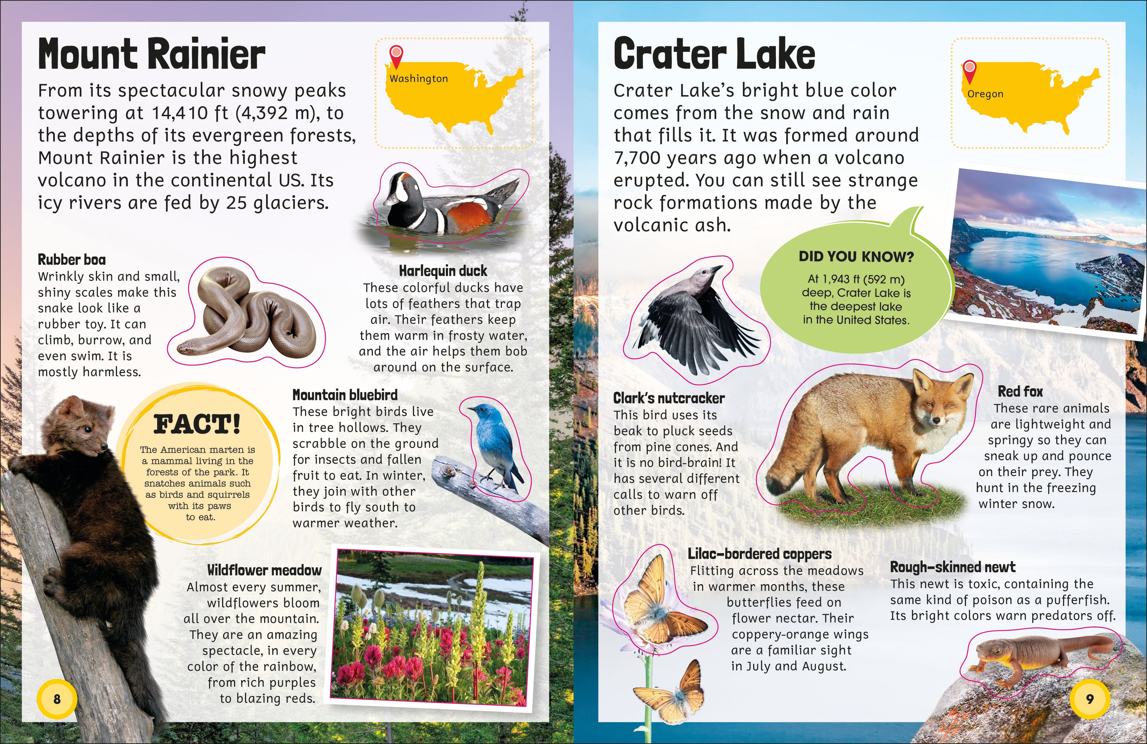 Sticker Encyclopedia National Parks