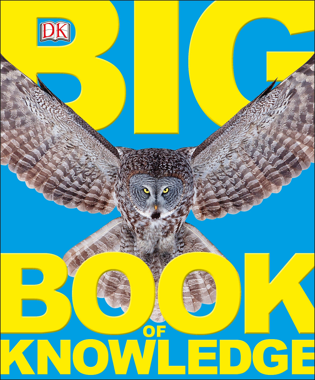 Big Book of Knowledge jacket