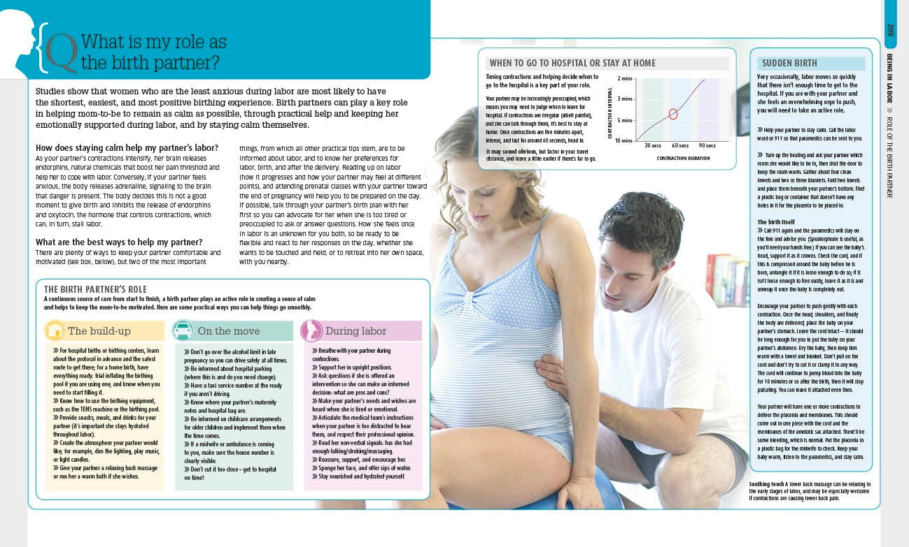 The Pregnancy Encyclopedia