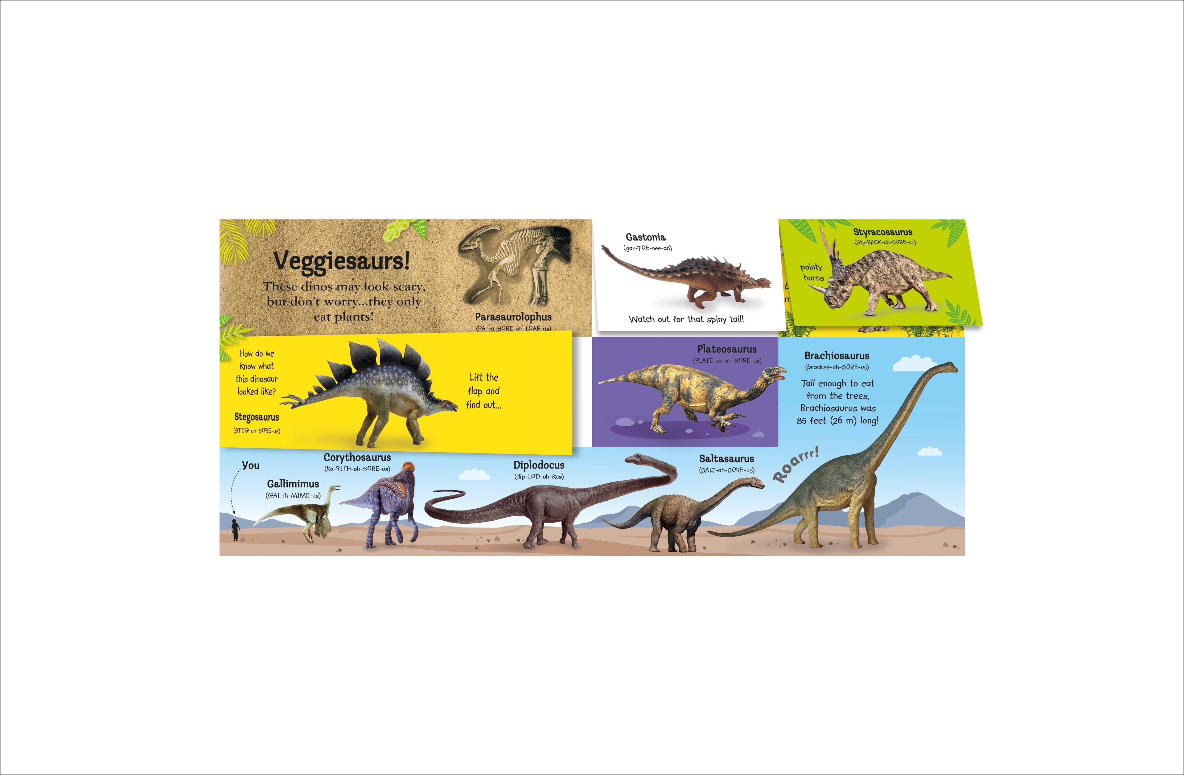 My Terrific Dinosaur Book