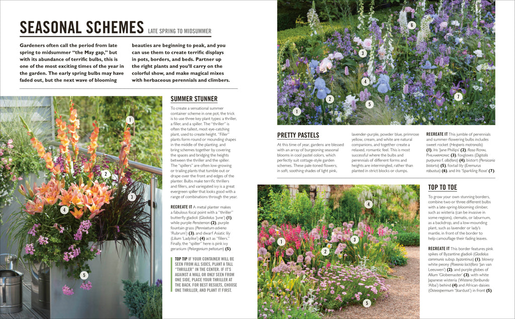 Grow Bulbs-Spread, Image, (PRHC, Design, Do, Not, Use)-3