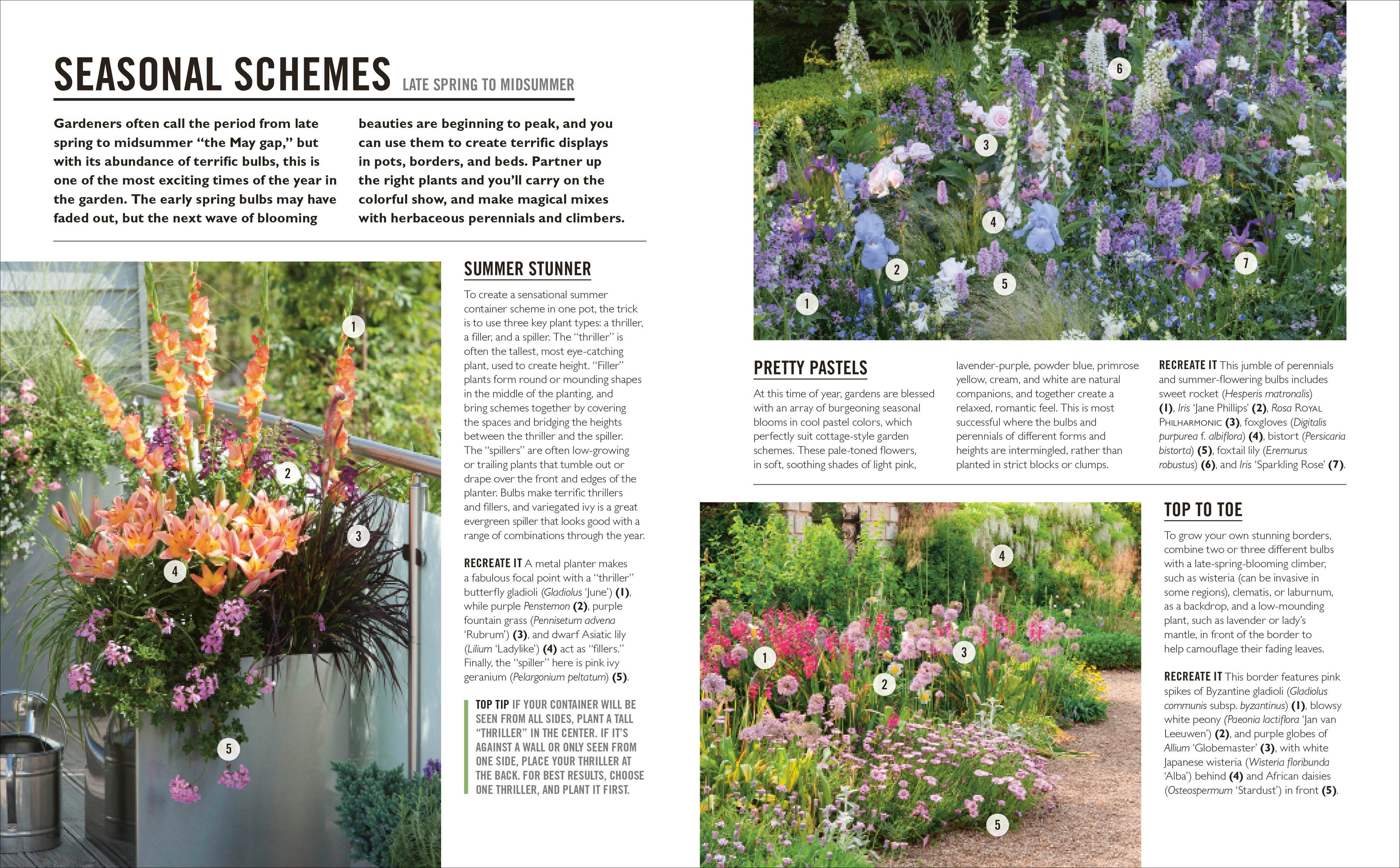 Grow Bulbs-Spread, Image, (PRHC, Design, Do, Not, Use)-3