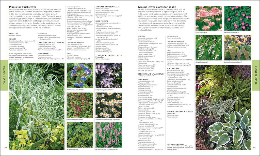 RHS Encyclopedia Of Plants and Flowers