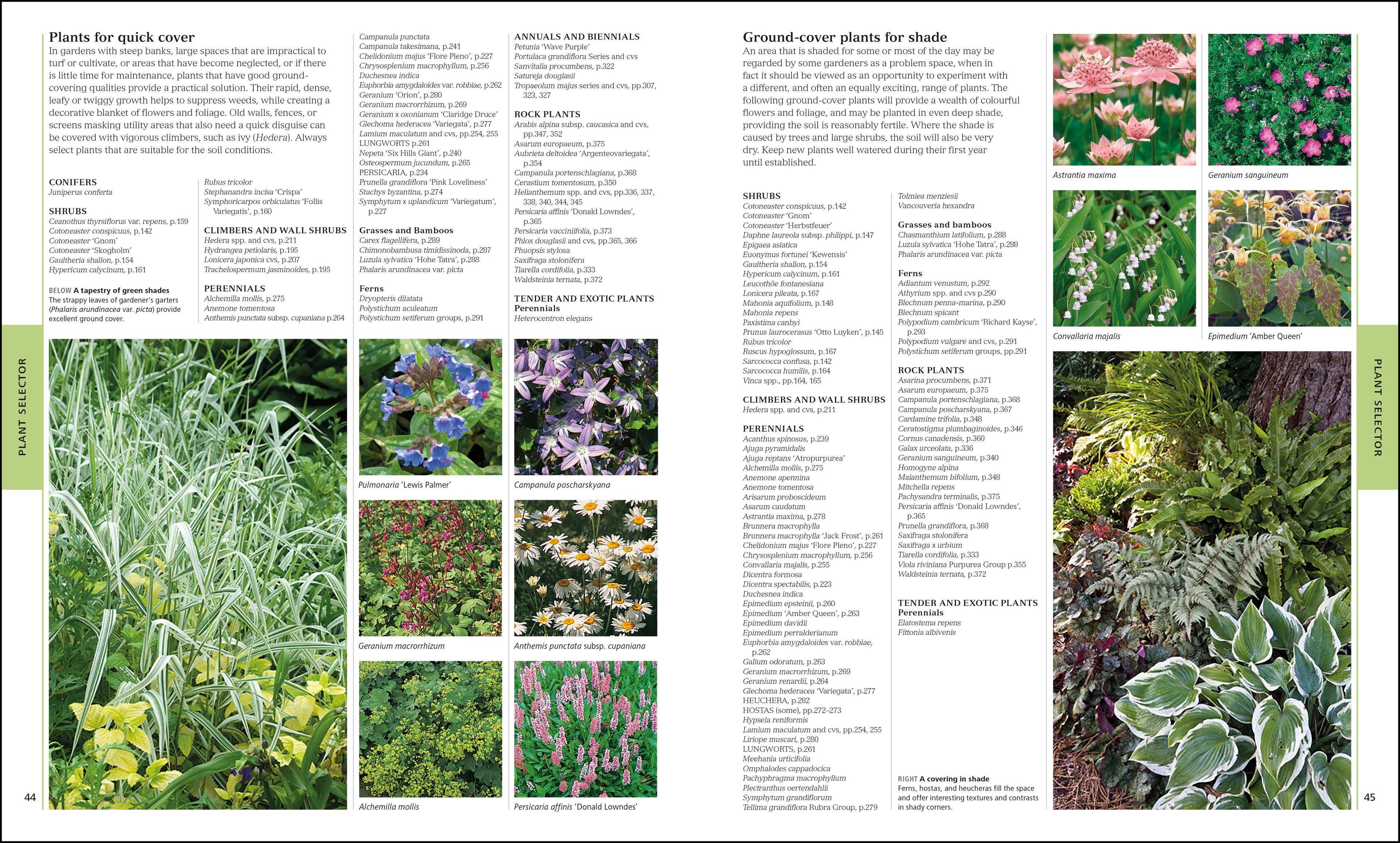 RHS Encyclopedia Of Plants and Flowers