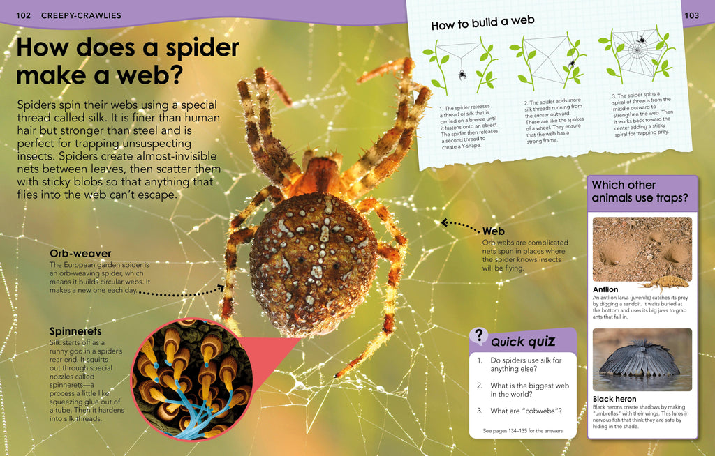 Did You Know? Animals