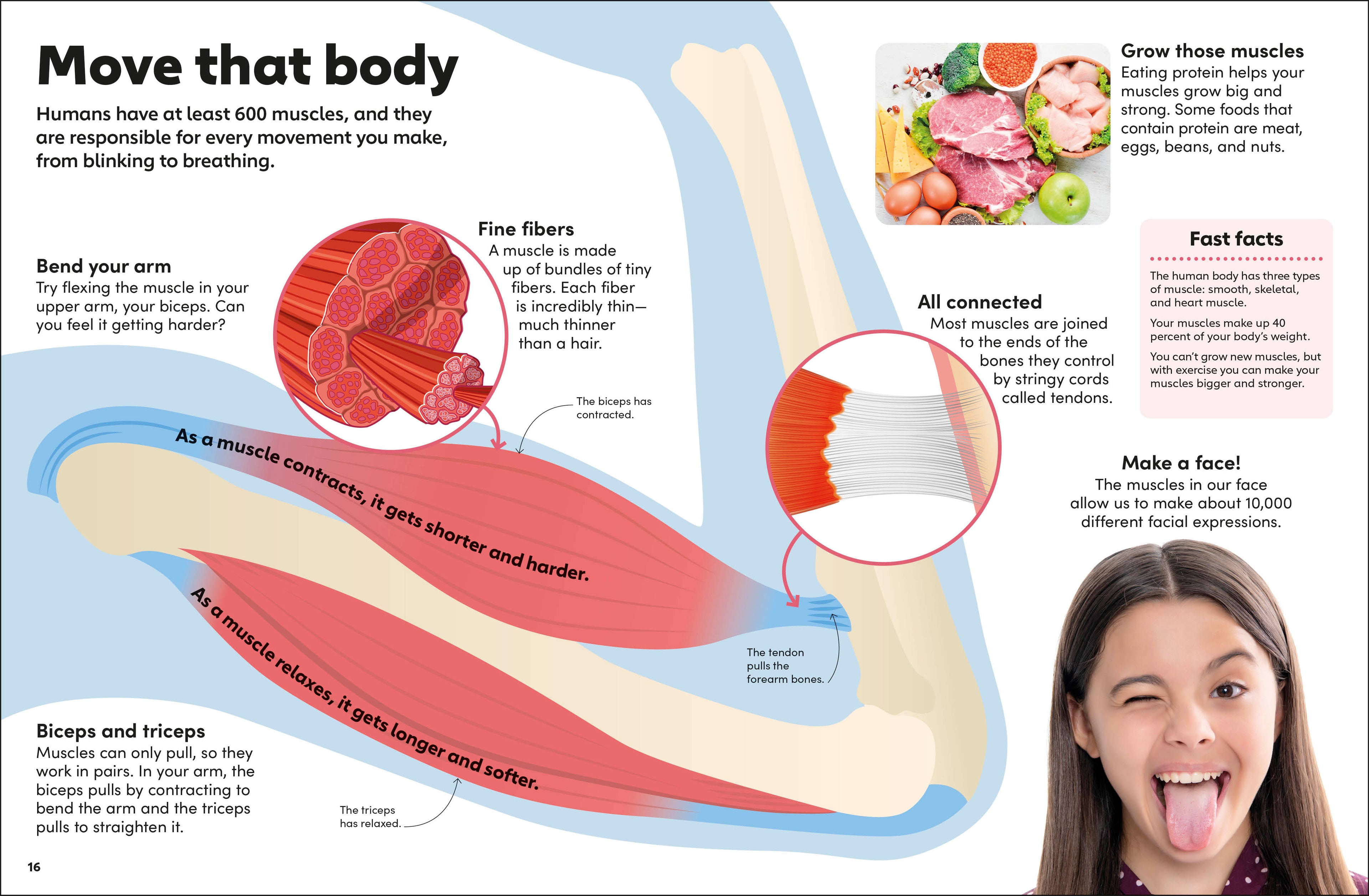 Eyewonder Human Body-Spread, Image, (PRHC, Design, Do, Not, Use)-2