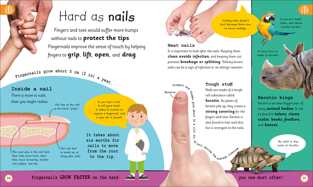 My Very Important Human Body Encyclopedia