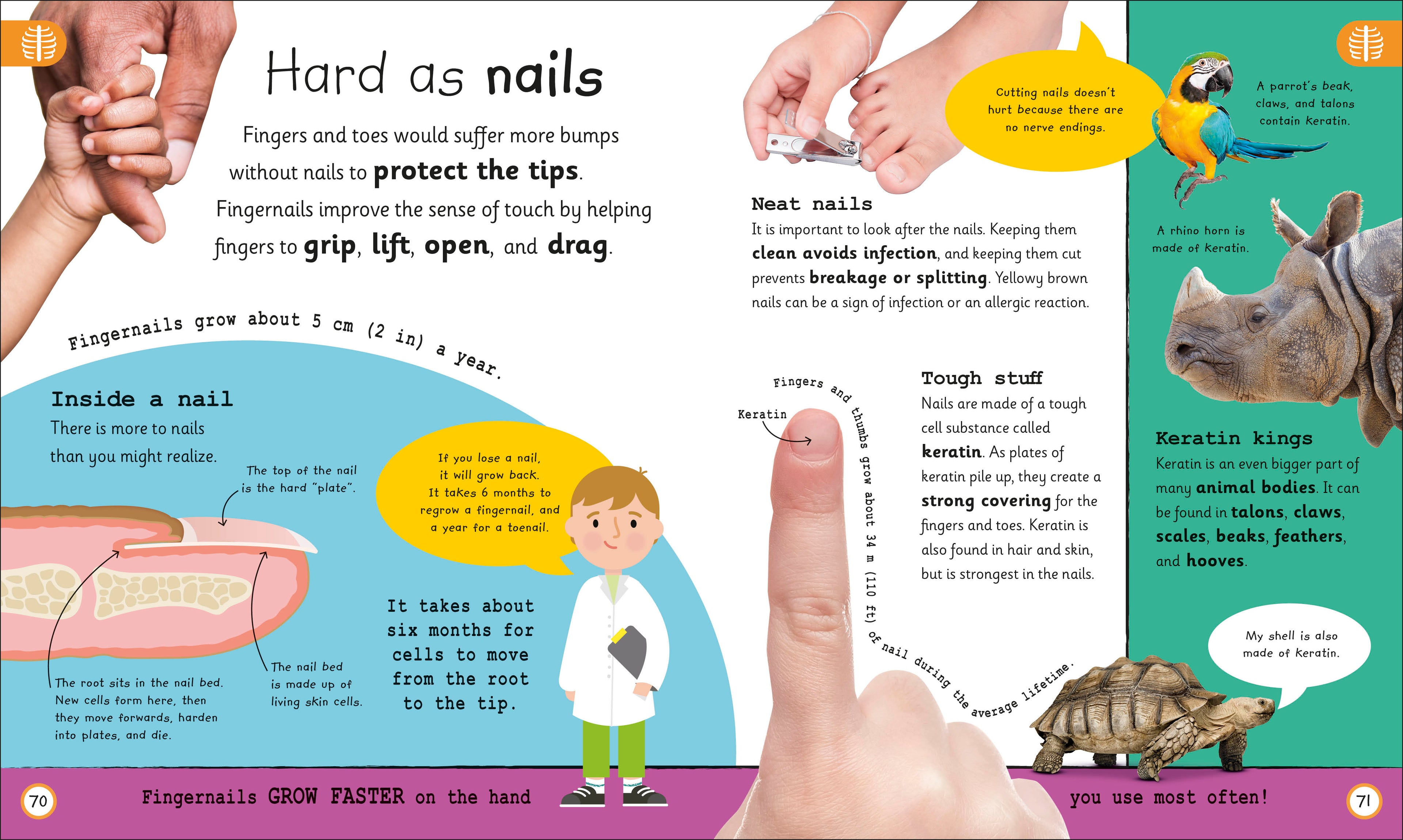 My Very Important Human Body Encyclopedia