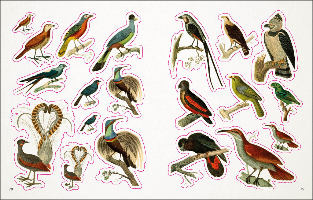 The Bees, Birds & Butterflies Sticker Anthology