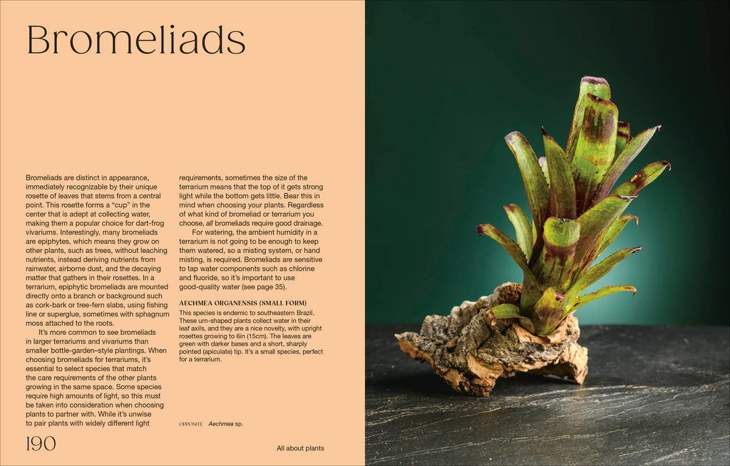 Hello Tiny World-Spread, Image, (PRHC, Design, Do, Not, Use)-7