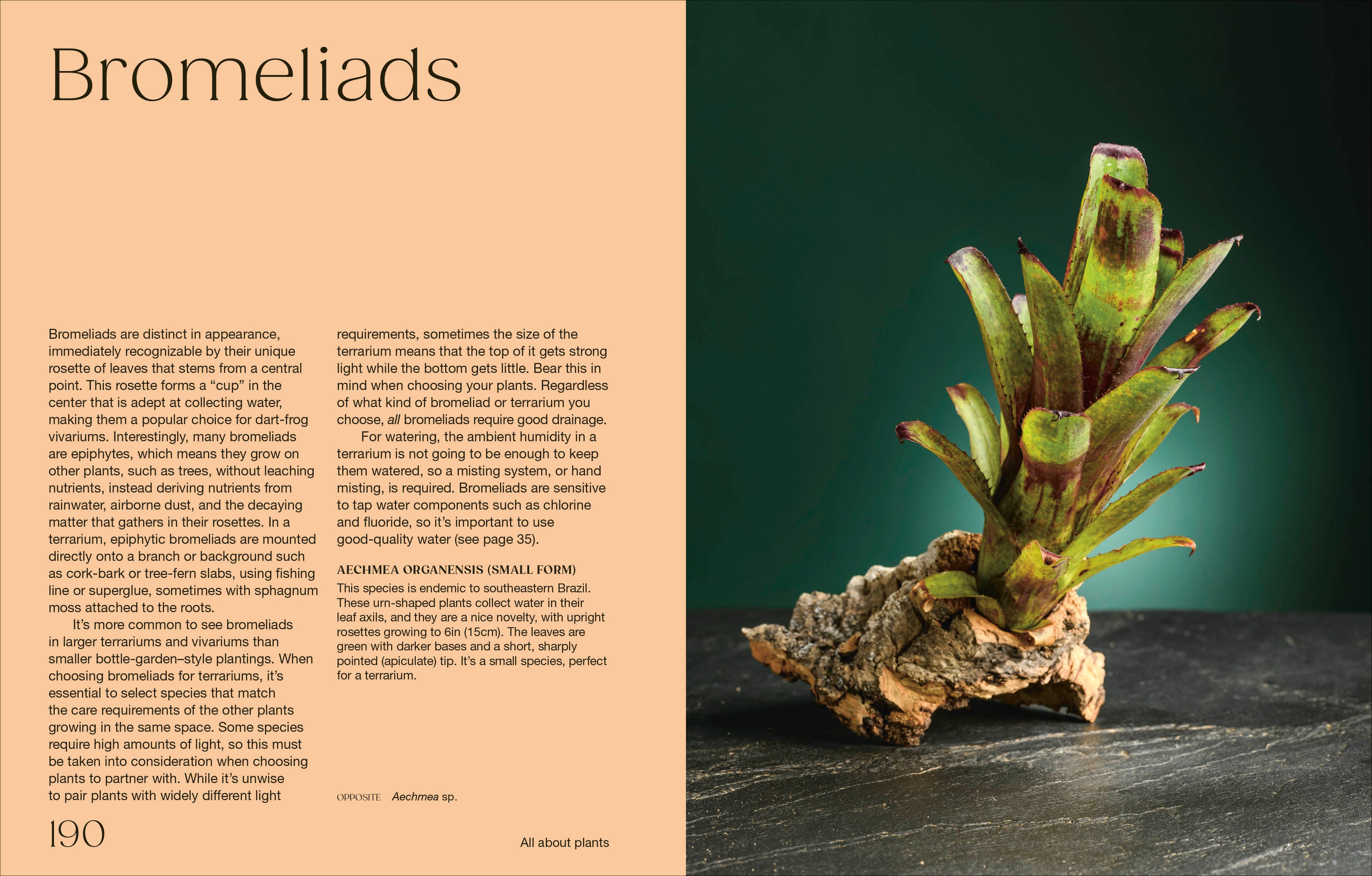 Hello Tiny World-Spread, Image, (PRHC, Design, Do, Not, Use)-7