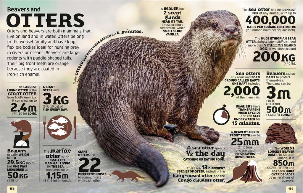 Our World in Numbers Animals