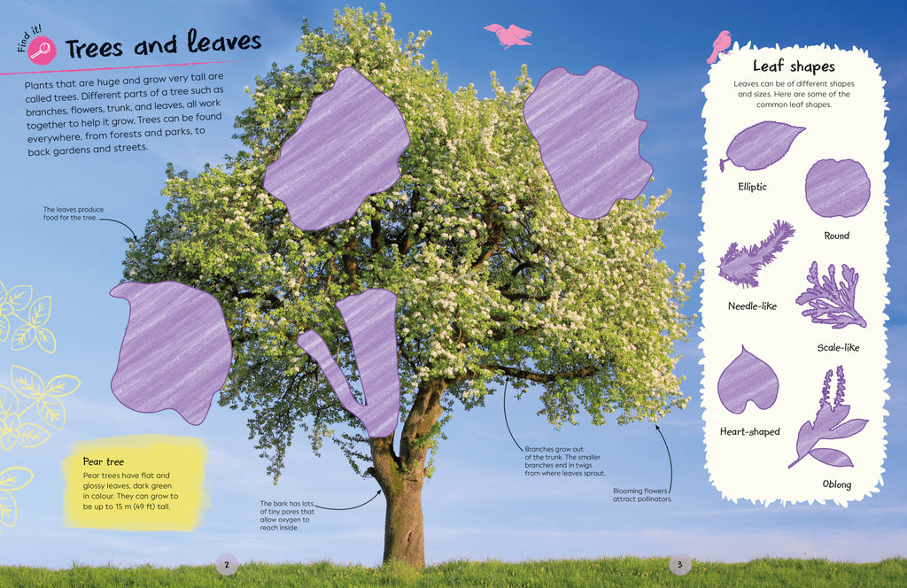 Ultimate Sticker Book Trees and Leaves-Spread, Image, (PRHC, Design, Do, Not, Use)-2