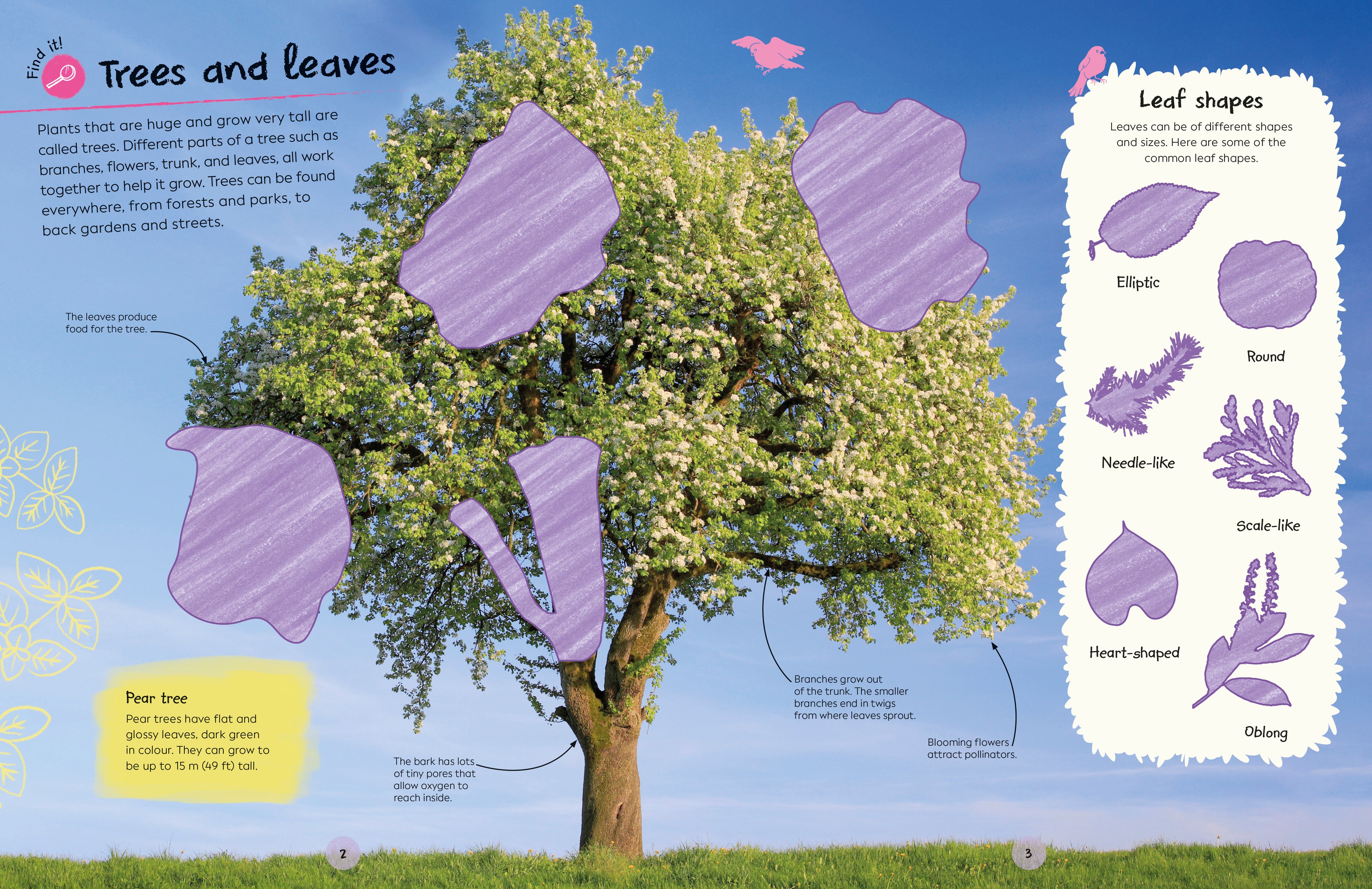 Ultimate Sticker Book Trees and Leaves-Spread, Image, (PRHC, Design, Do, Not, Use)-2