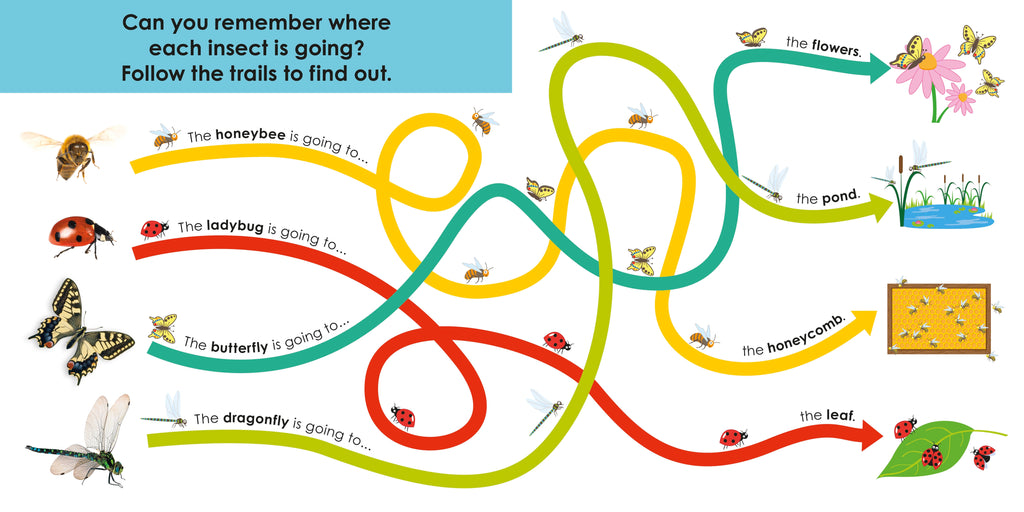 Follow the Trail: Bugs