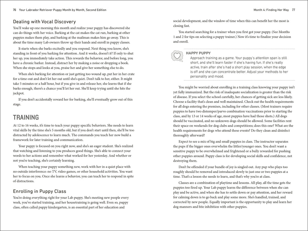 Your Labrador Retriever Puppy Month by Month, 2nd Edition