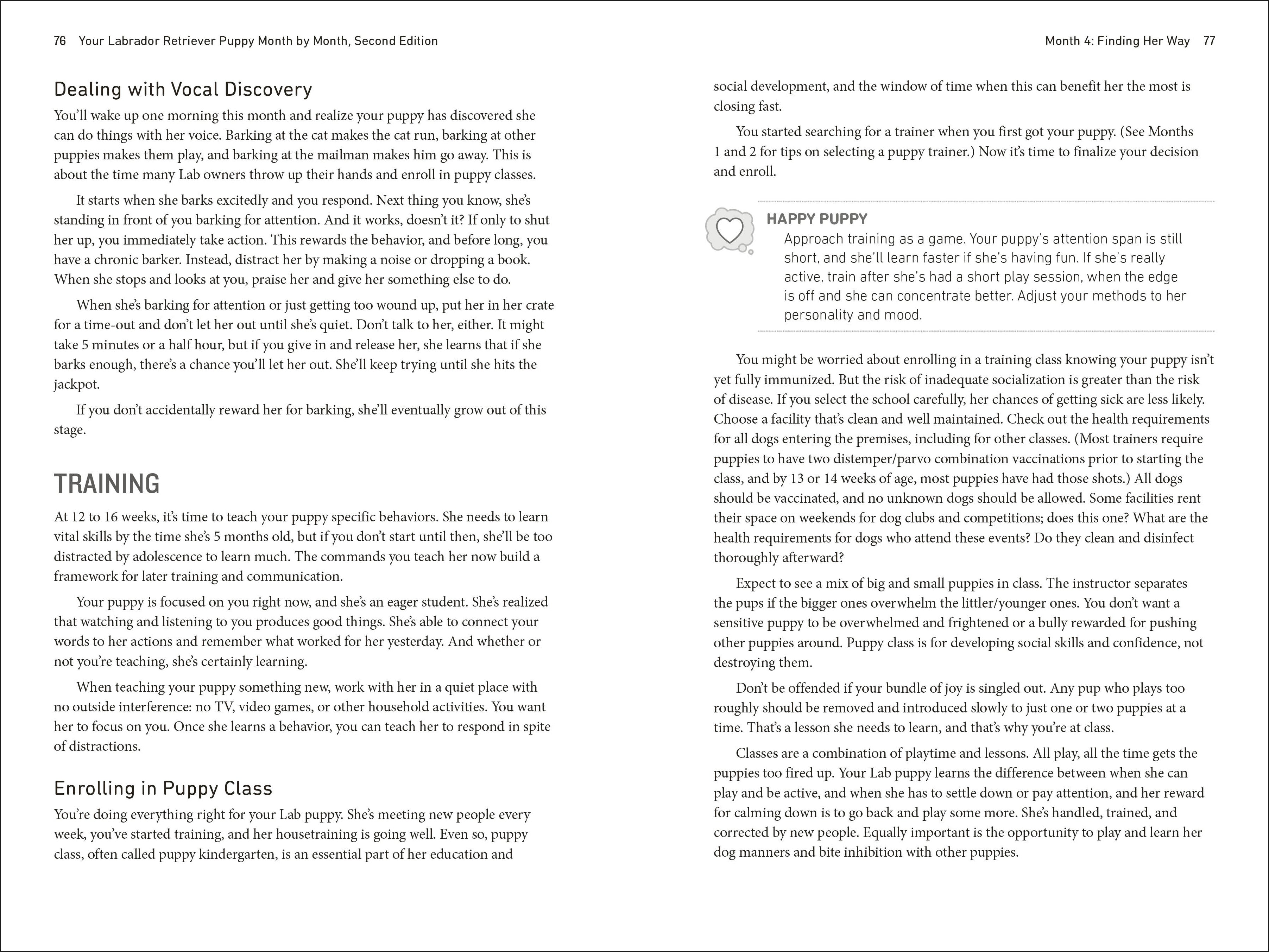 Your Labrador Retriever Puppy Month by Month, 2nd Edition