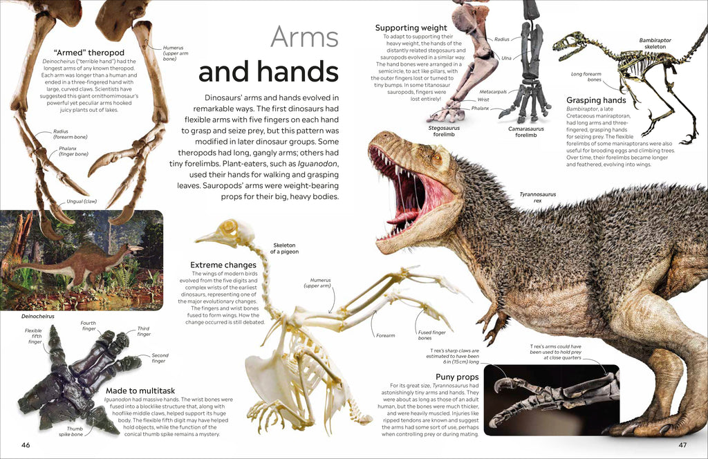 Eyewitness Collection Boxset-image