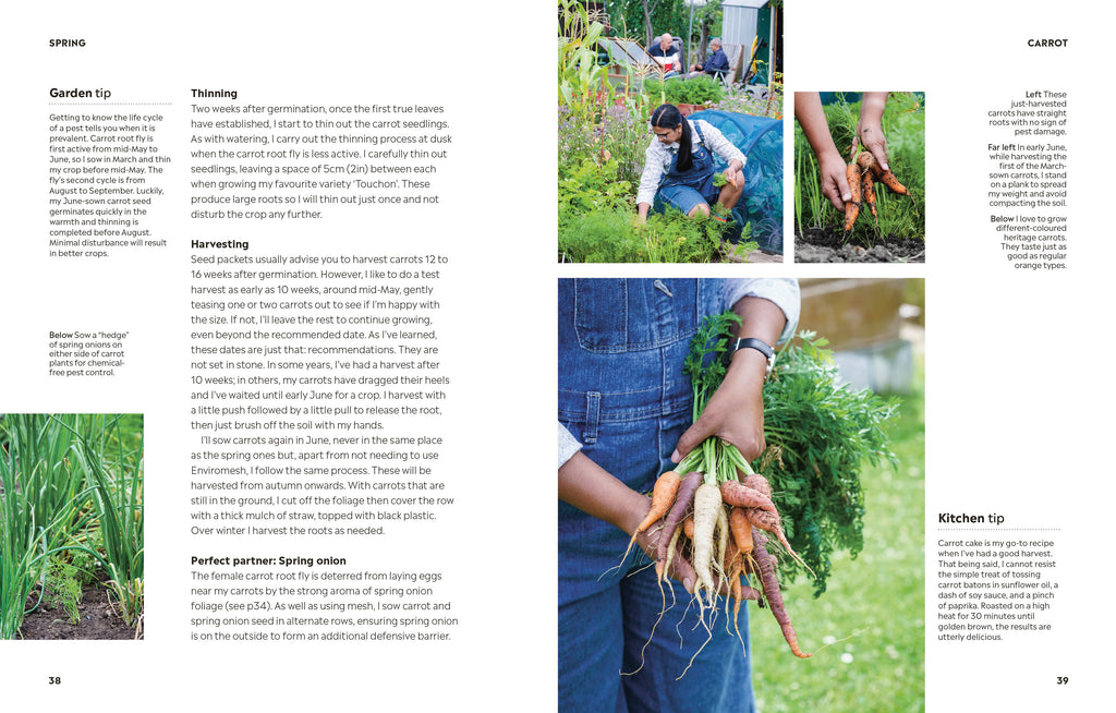 Rekha's Kitchen Garden