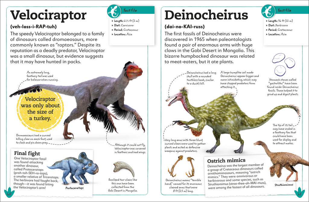 My Book of Dinosaurs and Prehistoric Life