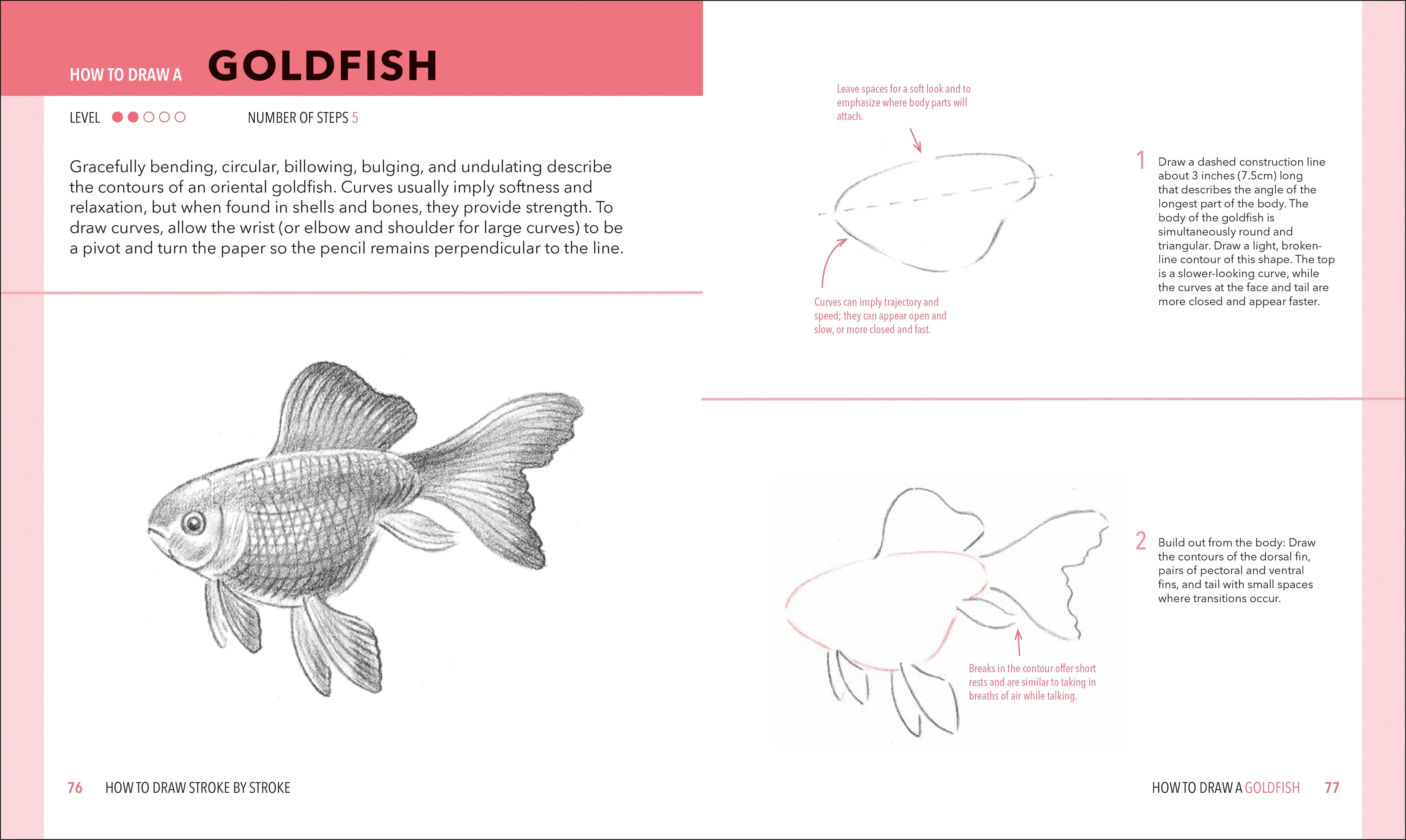 How to Draw Stroke-by-Stroke