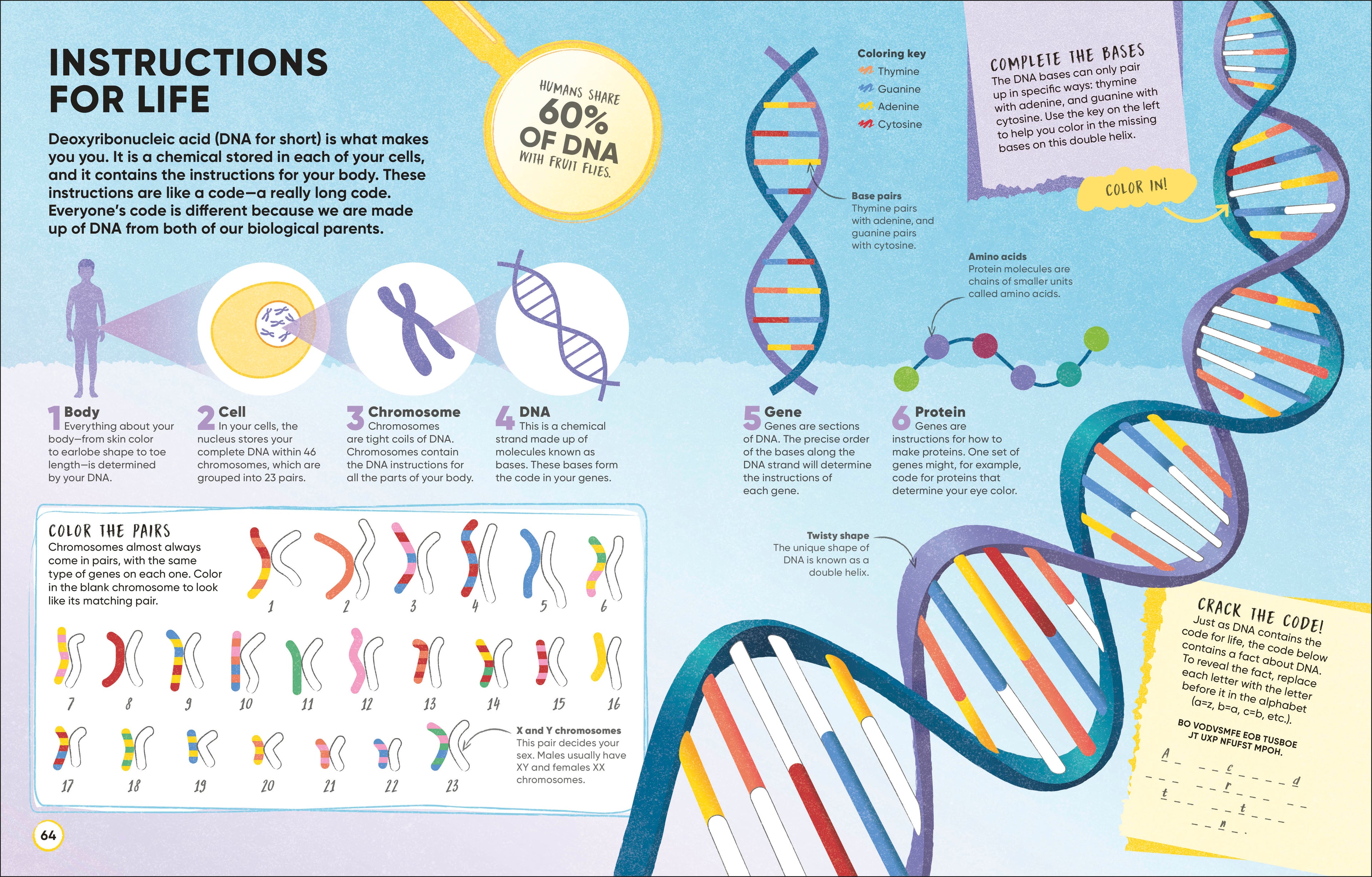 Brain Booster Human Body-Spread, Image, (PRHC, Design, Do, Not, Use)-4